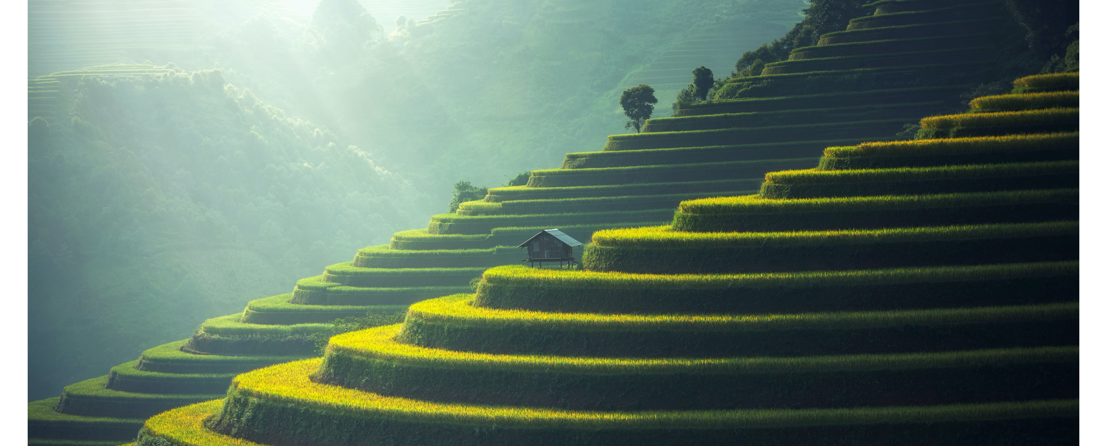 Green stairs